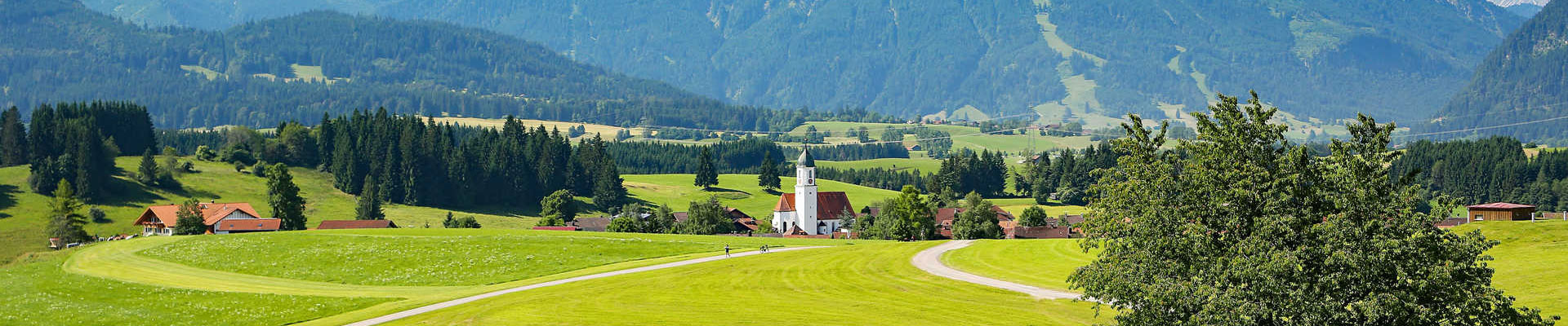 Свяжитесь с нами